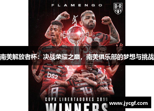 南美解放者杯：决战荣耀之巅，南美俱乐部的梦想与挑战